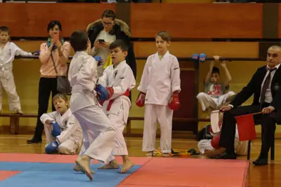 Zemgales Novada karate čempionāts - 25.11.2018 — 335
