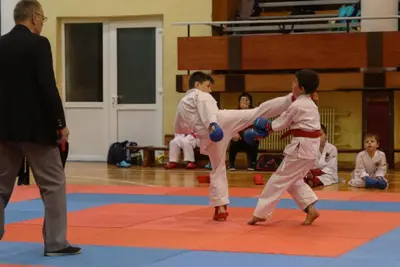 Zemgales Novada karate čempionāts - 25.11.2018 — 338