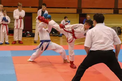 Zemgales Novada karate čempionāts - 25.11.2018 — 340