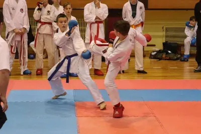 Zemgales Novada karate čempionāts - 25.11.2018 — 341