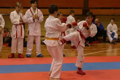 Zemgales Novada karate čempionāts - 25.11.2018 — 343