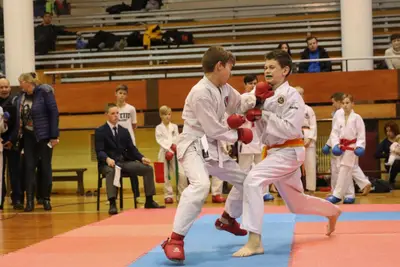 Zemgales Novada karate čempionāts - 25.11.2018 — 346
