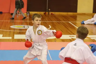 Zemgales Novada karate čempionāts - 25.11.2018 — 209