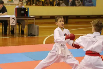 Zemgales Novada karate čempionāts - 25.11.2018 — 217