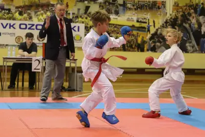 Zemgales Novada karate čempionāts - 25.11.2018 — 225