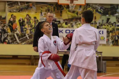 Zemgales Novada karate čempionāts - 25.11.2018 — 230