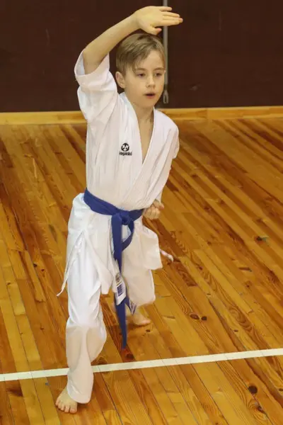 Zemgales Novada karate čempionāts - 25.11.2018 — 34