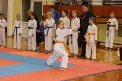 Zemgales Novada karate čempionāts - 25.11.2018 — 50