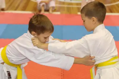 Zemgales Novada karate čempionāts - 25.11.2018 — 67