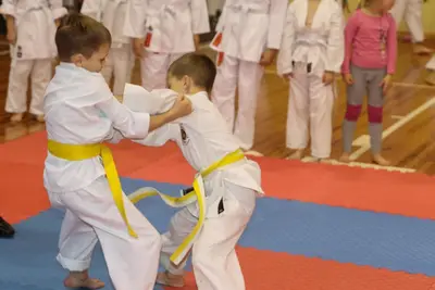 Zemgales Novada karate čempionāts - 25.11.2018 — 69