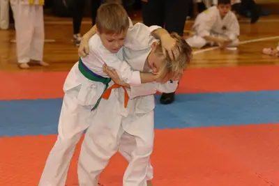 Zemgales Novada karate čempionāts - 25.11.2018 — 79
