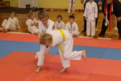 Zemgales Novada karate čempionāts - 25.11.2018 — 94