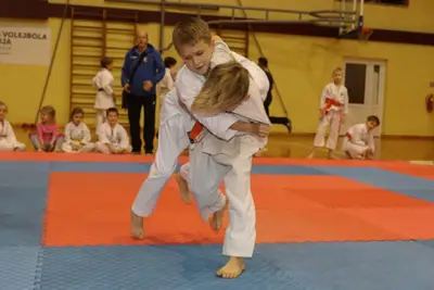Zemgales Novada karate čempionāts - 25.11.2018 — 97