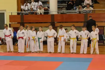 Zemgales Novada karate čempionāts - 25.11.2018 — 99
